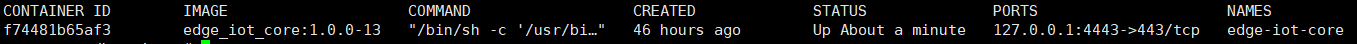 output of the command 'docker ps'
