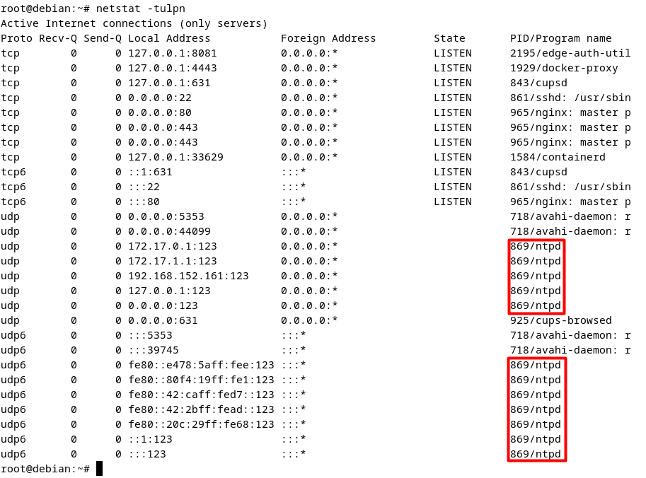 netplan config
